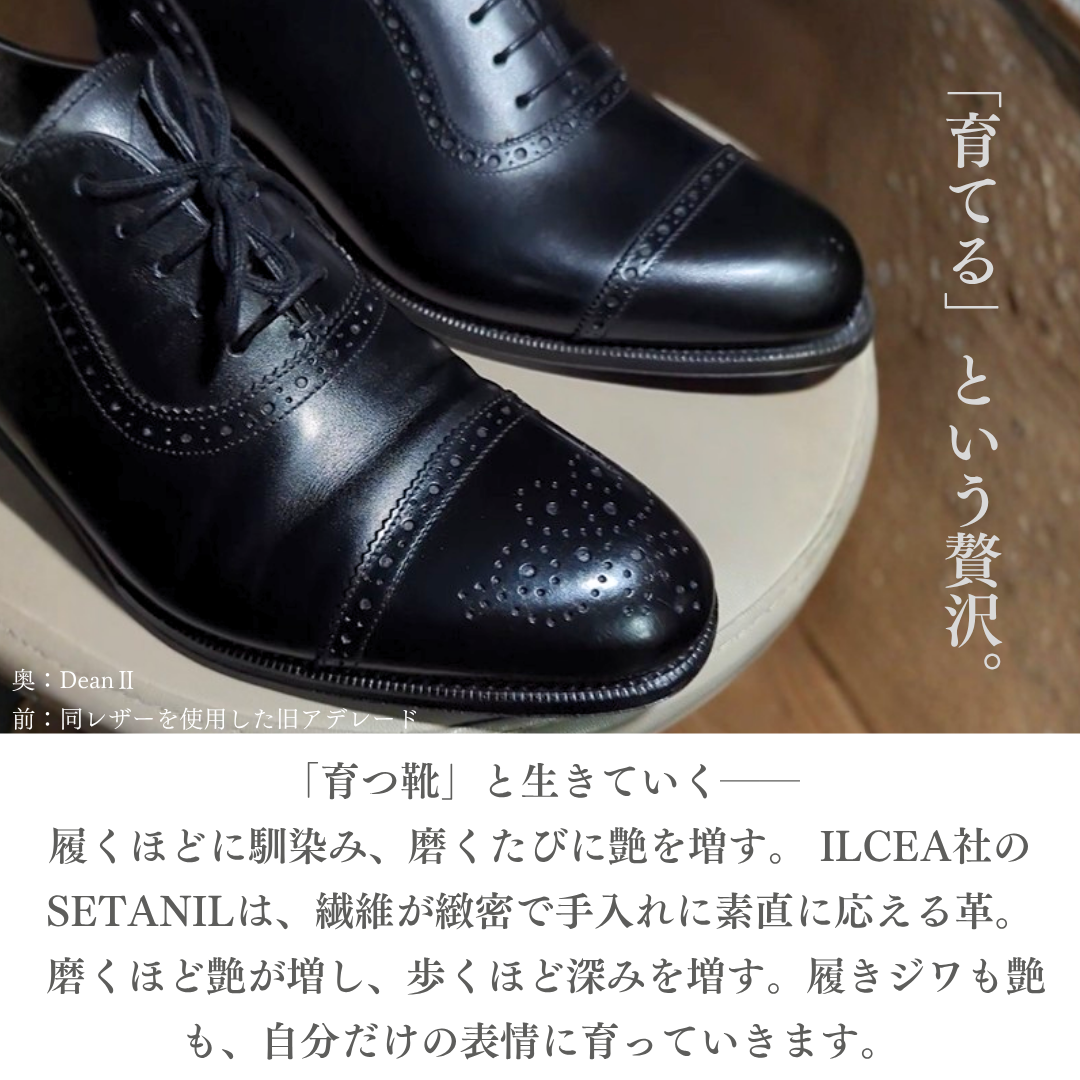 【RAYMAR】DeanII アデレード ブラック ボックスカーフ イタリアILCEA社SETANIL ハンドソーンウェルト製法九分仕立て 24.0cm~27.5cm イルチア セタニール 革底 ディーン